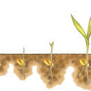 How I Got My First Round of Seed Funding