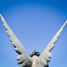 What It Takes to Get Angel Investment