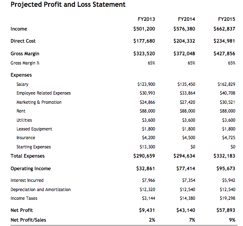 Business plan executive summary example startup