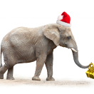 whiteelephantgift