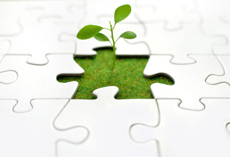 3 Questions to Help Build Your Business Strategy