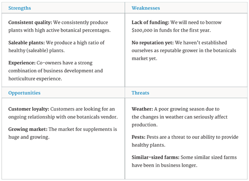 Television network business plan template