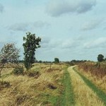 300px-Open_landscape_on_track_from_Swaffham_Prior_to_Reach,_Cambridgeshire_-_geograph.org.uk_-_1476679
