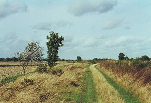 300px-Open_landscape_on_track_from_Swaffham_Prior_to_Reach,_Cambridgeshire_-_geograph.org.uk_-_1476679