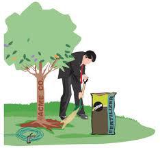 Dont Branch Your Business
