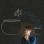 Startup events or niche events ?