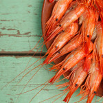 Shrimp