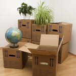 Office Moving Boxes 1