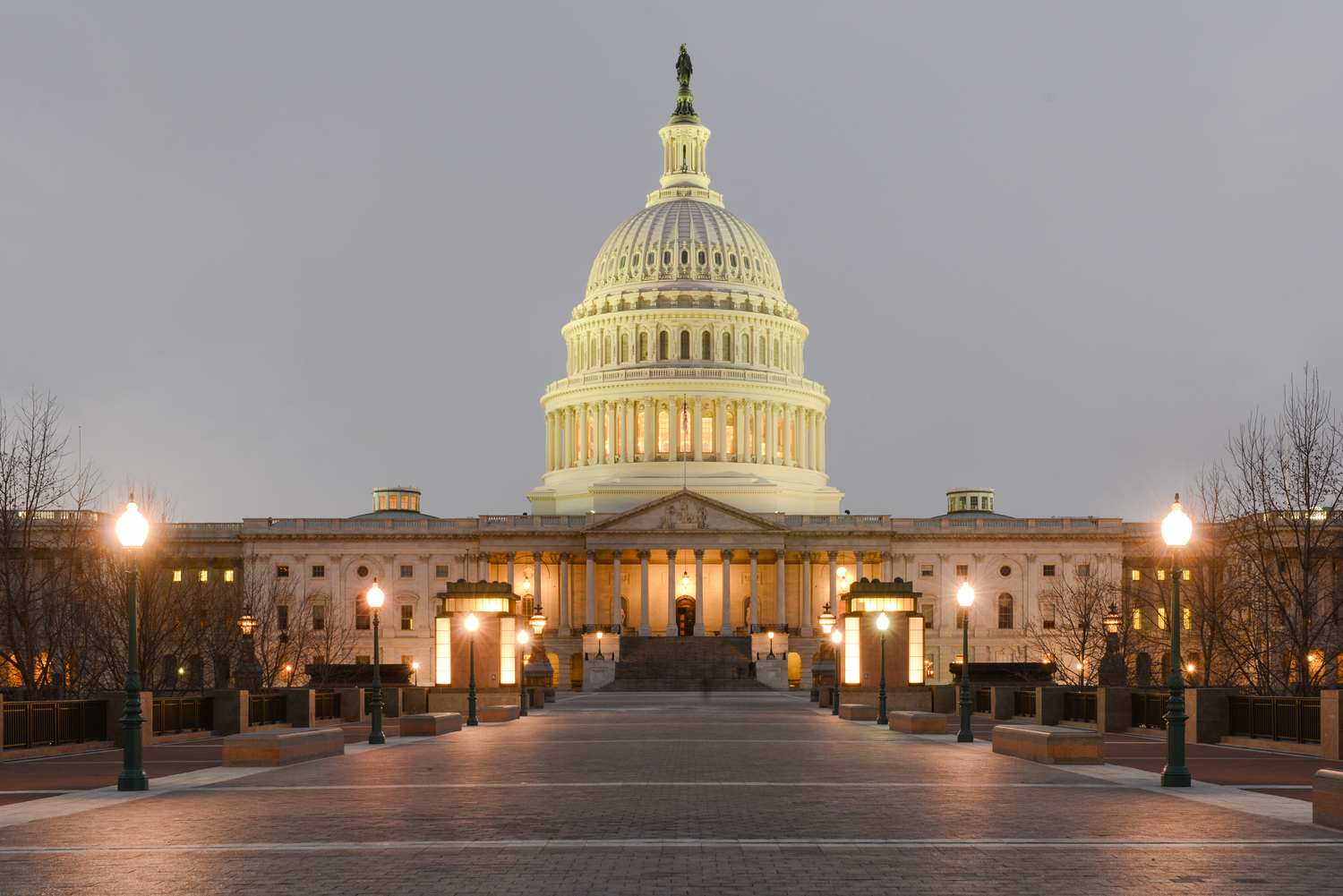 Capitol Building in DC