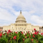Capitol Building with flowers Square