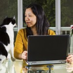 Common Myths About Working From Home