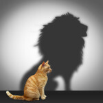 Do You Have The Courage to Price High?