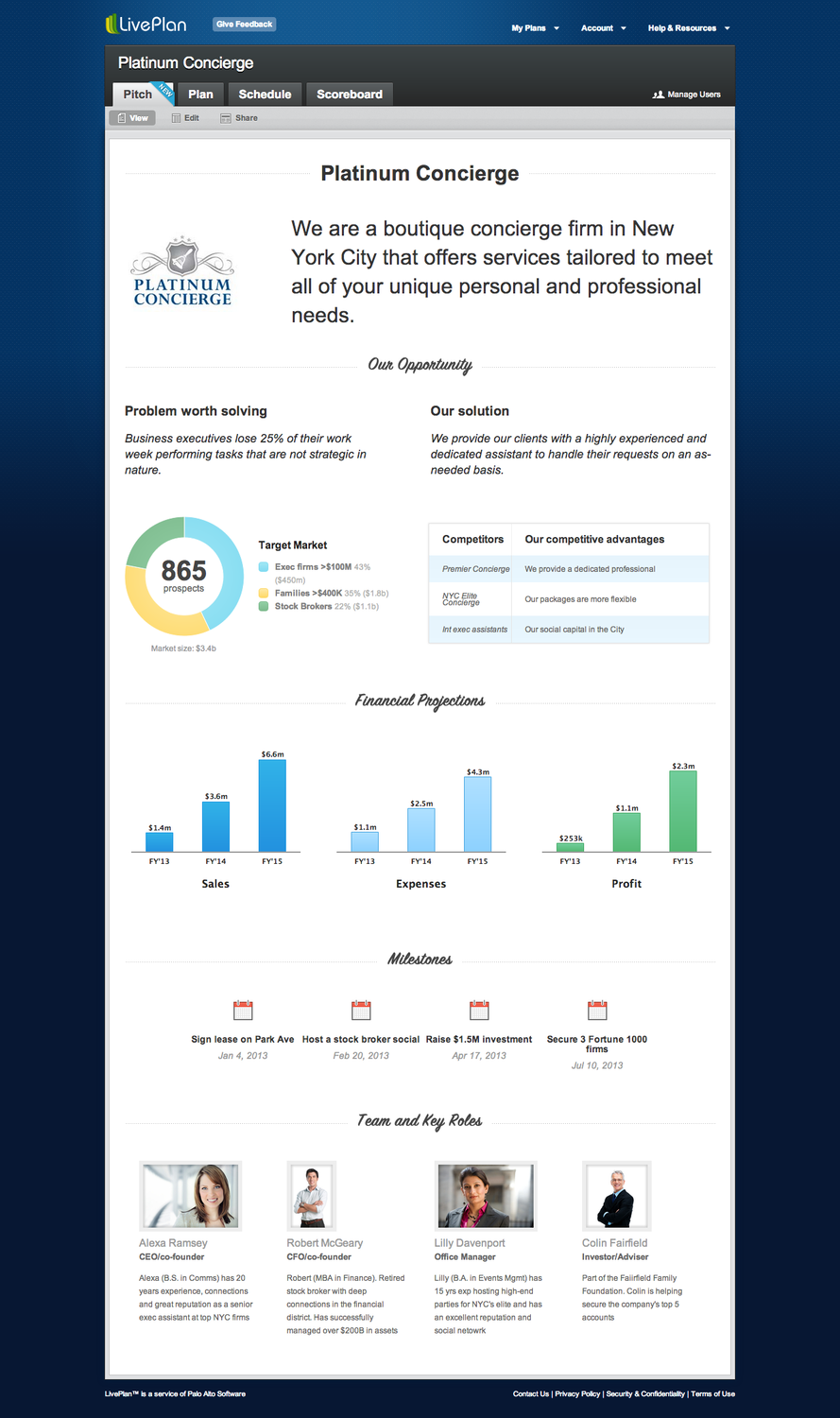 Marketing strategy business plan   bplans.co.uk