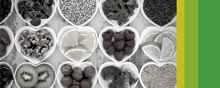 LivePlan Header