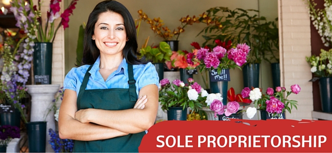 sole proprietorship companies