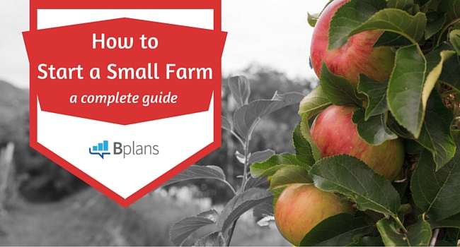 How to Start a Farm: Your Complete Guide to Success